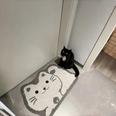 新款创意入户门地垫耐脏仿羊绒卡通门垫防滑吸水客厅卫生间脚垫
