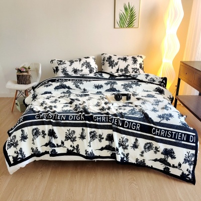 礼品毛毯空调毛毯牛奶绒毯毛毯加厚法兰绒毛毯礼盒印logo外贸跨境