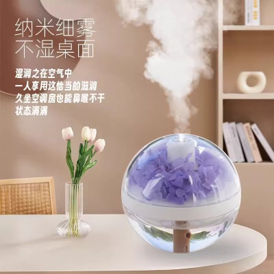 新品永生花加湿器USB迷你家用氛围灯卧室桌面雾化器 创意节日礼物