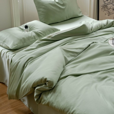 双面100支A类兰精天丝四件套 裸睡床单被套床笠夏季凉感床上用品9