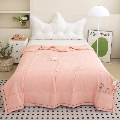 原棉大豆a类夏被空调被薄款单双人夏凉被批发夏天被子被芯礼品