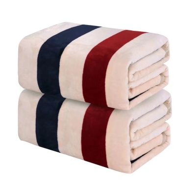 冬季加厚法莱绒毛毯菠萝格外贸毯子宠物小毯子礼品批发可定制Logo