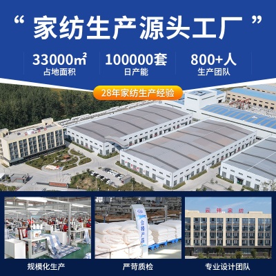 100支新疆长绒棉全棉纯棉三件套轻奢床品床单床笠被套床上四件套