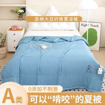 原棉大豆a类夏被空调被薄款单双人夏凉被批发夏天被子被芯礼品