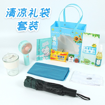 防暑降温大礼包高温慰问用品套装清凉夏季礼盒袋企业福利团购