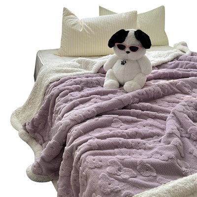 INS温柔云朵花舒棉绒毛毯加厚羊羔绒毯子秋冬保暖夏被空调被夏被