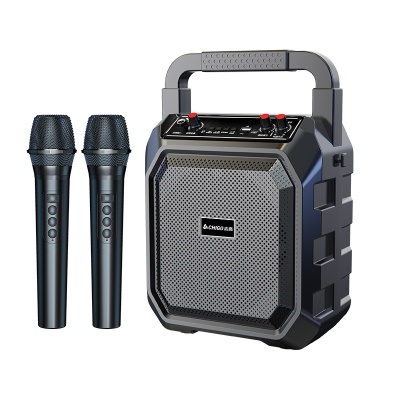 志高户外手提便携大音量广场舞蓝牙音箱家用K歌一体低音炮音响