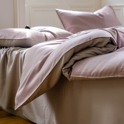 双面100支A类兰精天丝四件套 裸睡床单被套床笠夏季凉感床上用品9